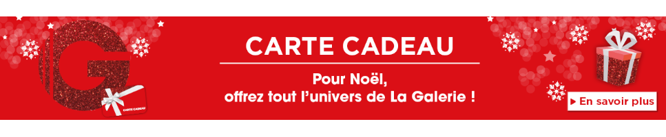 carrousel-1280x200-2-6564a2a6dce86.png