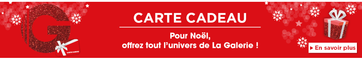 carrousel-1280x200-655f726feb87d.png