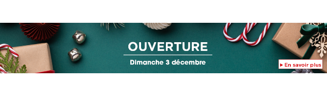 carrousel-1280x2002-654b453a258e4.png