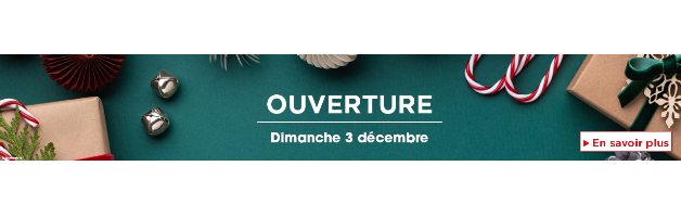 carrousel-1280x2002-6565f0b63babf.png