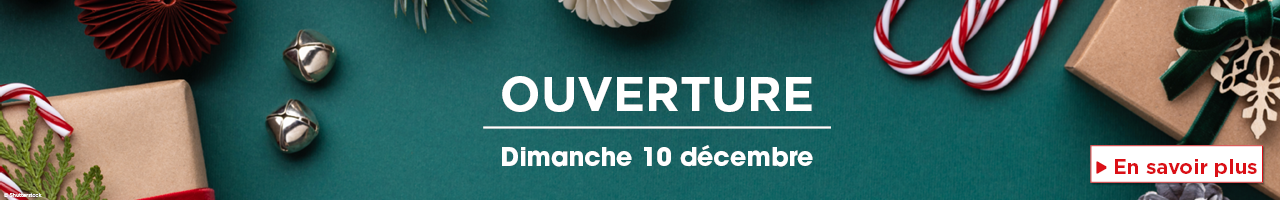 carrousel-1280x2003-654123cfcd8bc.png