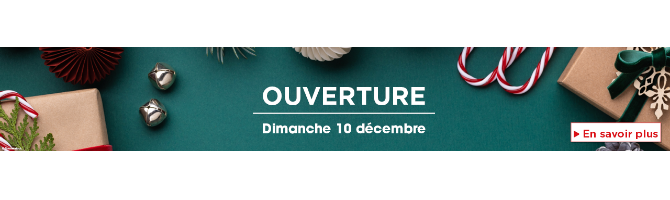 carrousel-1280x2003-654b45dfdf88a.png