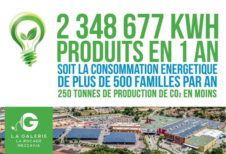 2021-VOLTAIQUE-732X500.jpg