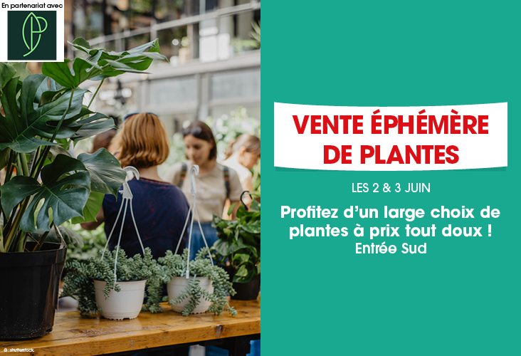 Vente éphémère de plantes avec Le Goût des Plantes !