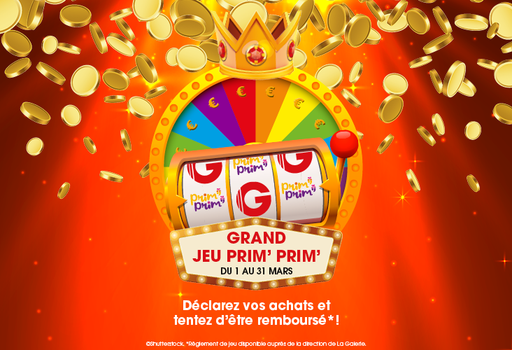 GRAND JEU PRIM PRIM