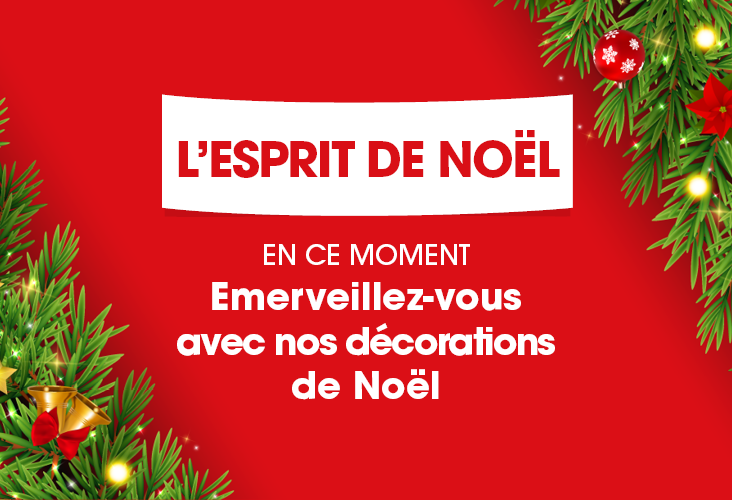 actuweb-732x500-61963799b2f9c.png