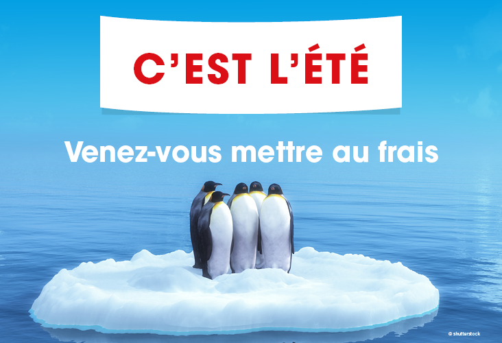 actuweb-732x500-62e1669202d97.png