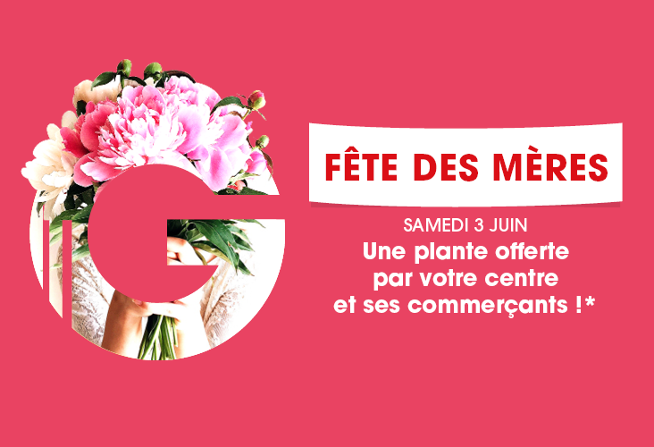 Un petit cadeau commerçant dans votre centre 🌵