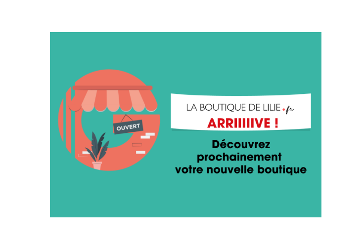 actuweb-732x500-64fb3c98a76b7.png