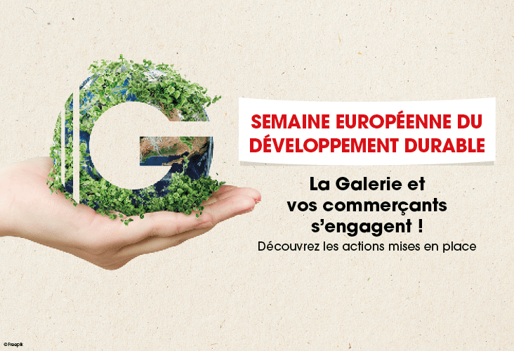 semaine DD