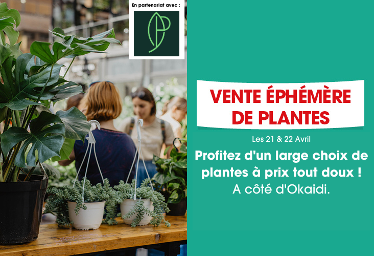 Vente éphémère de plantes avec Le Goût des Plantes !