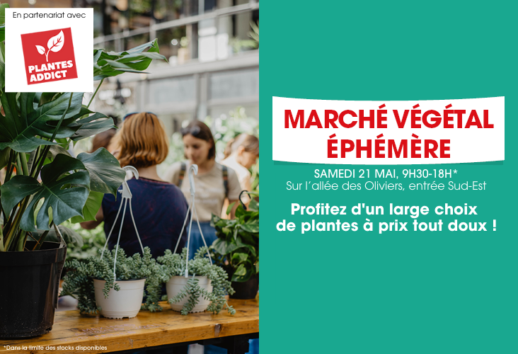 copie-de-actuweb-vignette.png