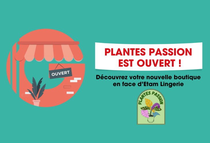 ouverture-actuweb-plantes-passion.png