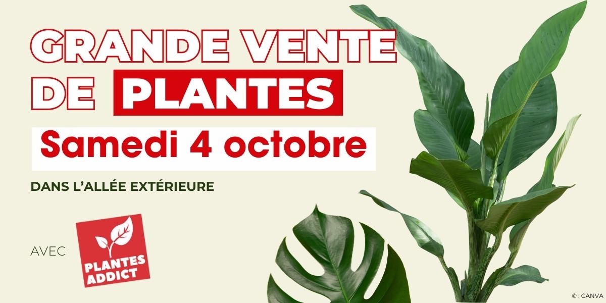 🌿 Plantes Addict : La Nature s’invite à La Galerie 🌸