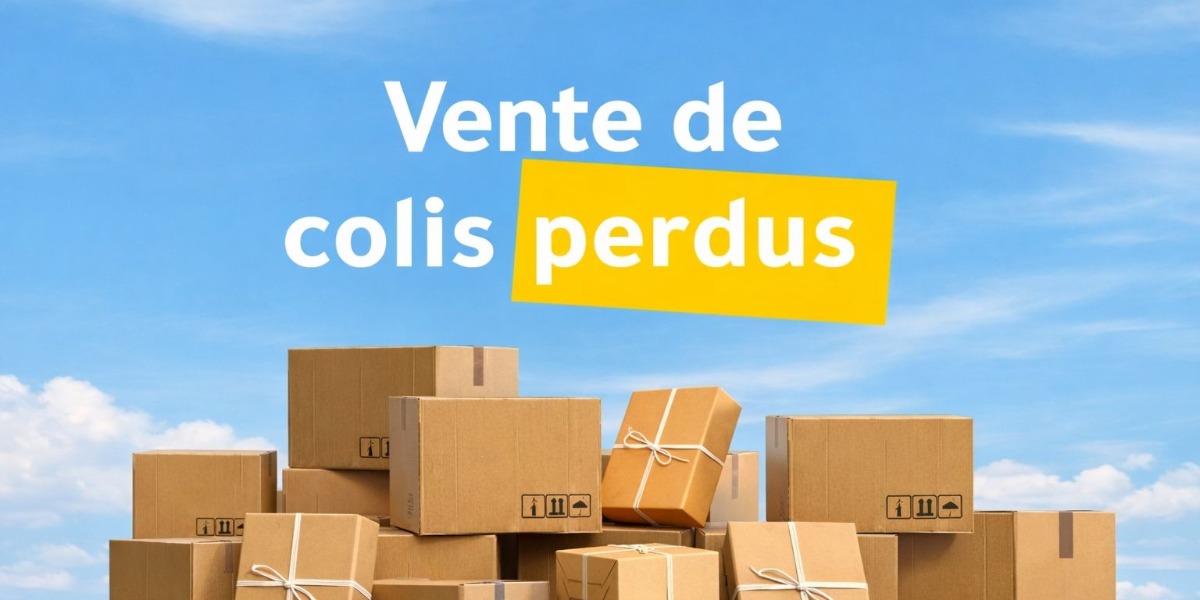 🎉 Colis Perdus débarque à la Galerie Lucé ! 🎉
