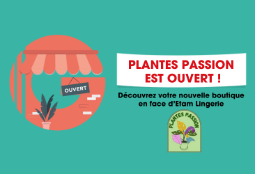 Votre déstockage de plantes est arrivé à Espace Anjou !