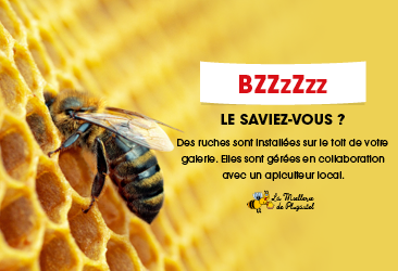 Bzzz : Des abeilles dans votre galerie !