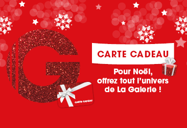 vignette-site-366x250-655f726fe992c.png