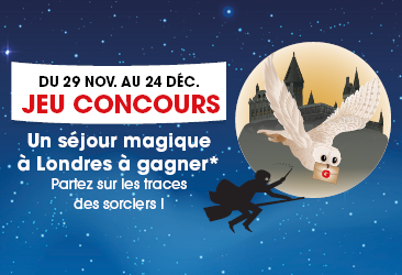 vignette-site-366x250-65645aa21dec0.png