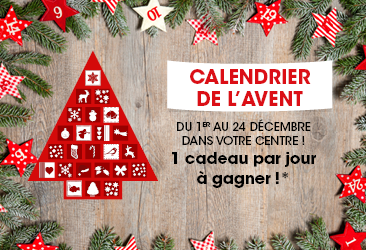 vignette-site-366x250-656898af8a005.png