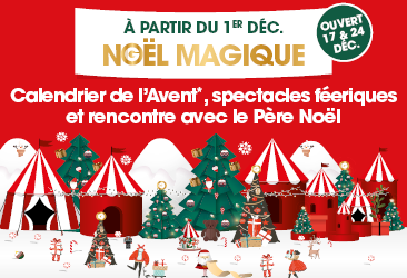 vignette-site-366x250-65689e2d98cf4.png