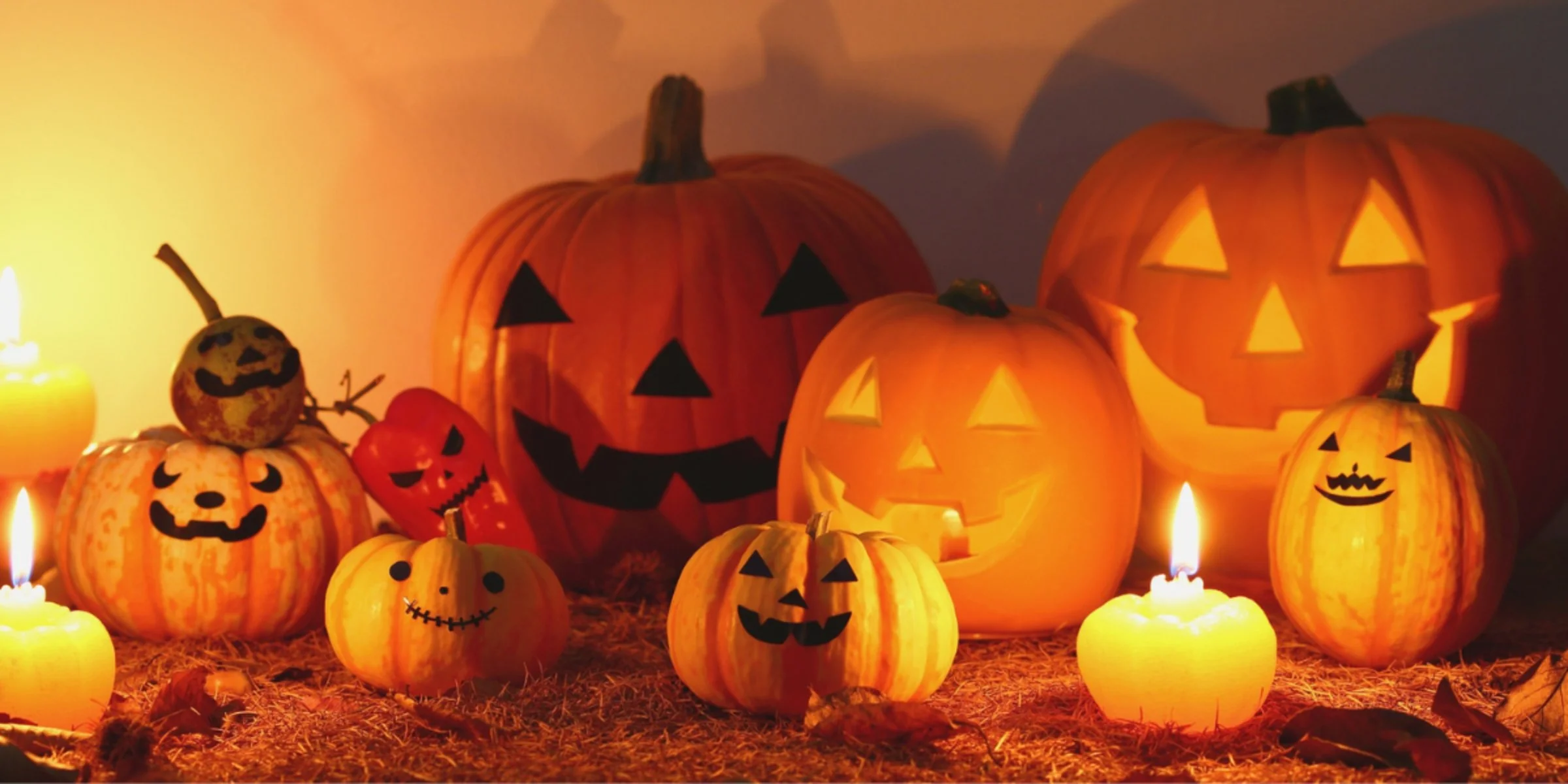 🎃Vives les vacances d'Halloween ! 