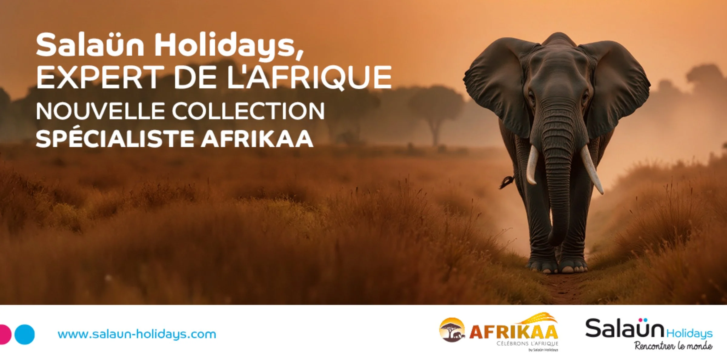  L’Afrique vous ouvre ses portes !