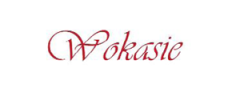 WOK ASIE 
