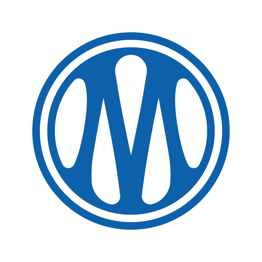 L'OLYMPIQUE DE MARSEILLE 